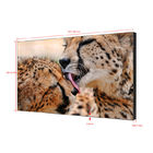 soluções video da exposição de parede do Signage da diferença 500 Cd/m2 4K Digitas de 0.8mm 55 polegadas para a exposição comercial